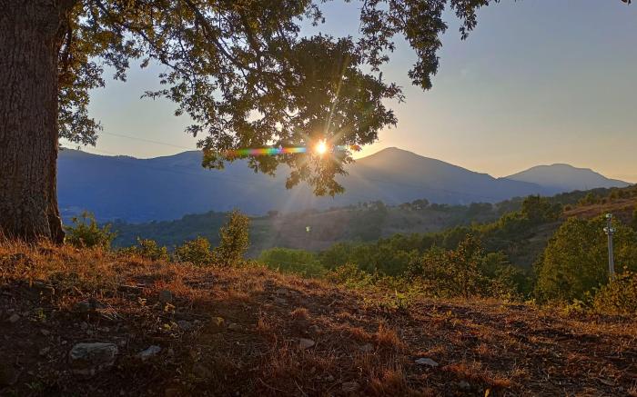 IL SOTTOBOSCO