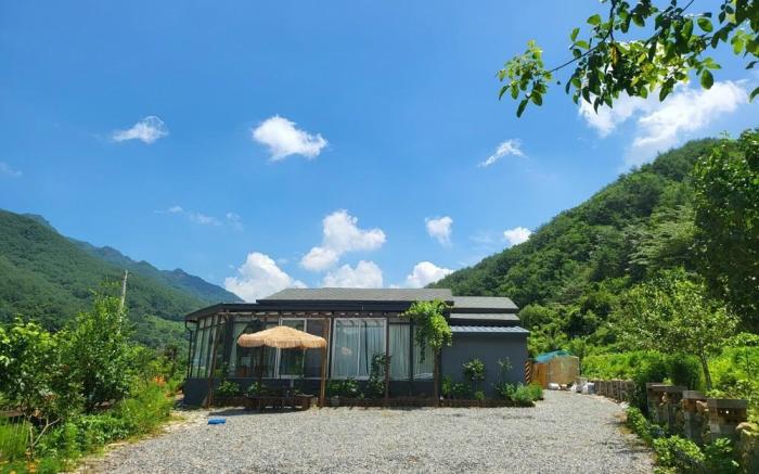 Danyang Forest 67