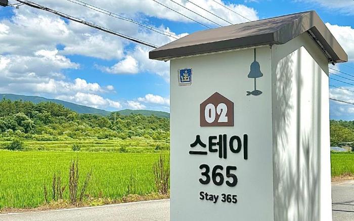 Stay 365