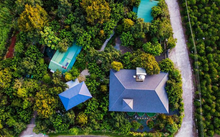Homestay Tropical Fruit Garden Vo Uu Garden
