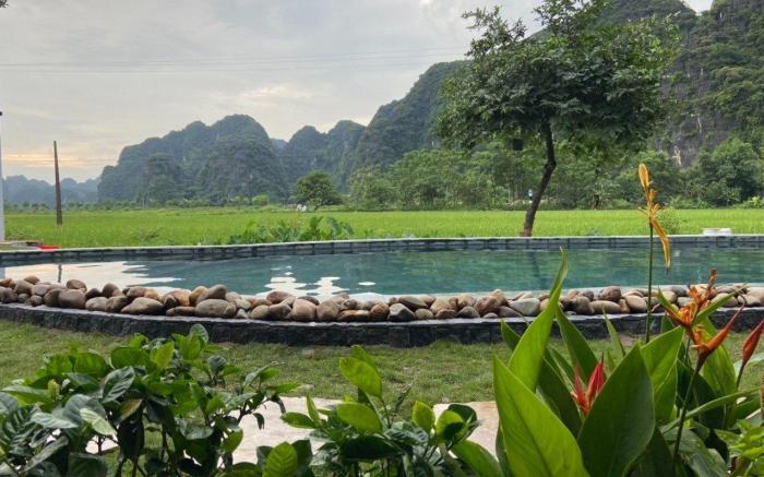 Tam Coc Windy Fields