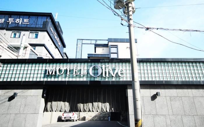 Changwon Jinhae Olive