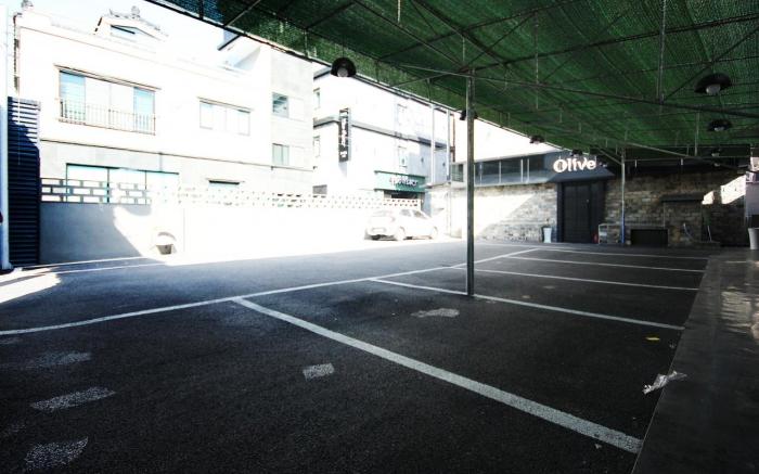 Changwon Jinhae Olive