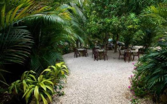 El Sano Banano Beachside Hotel