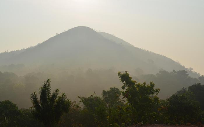 Thotadagadde homestay
