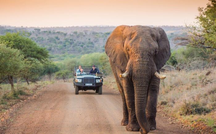 Leopard Mountain Safari Lodge