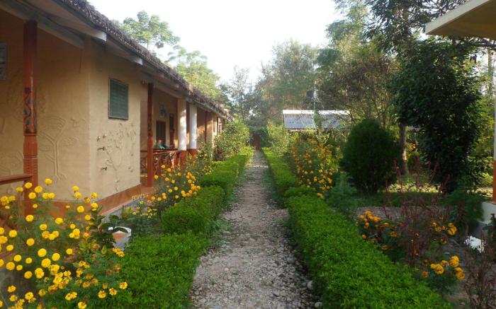Forest Hideaway Hotel & Cottages