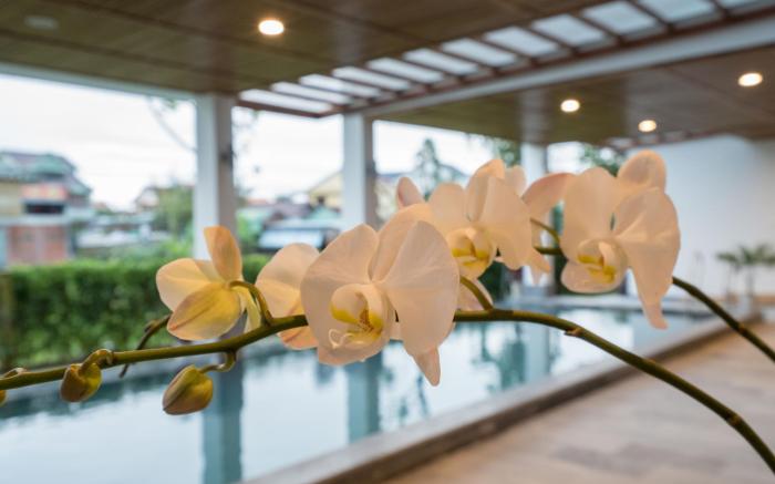 Zen Boutique Villa Hoi An