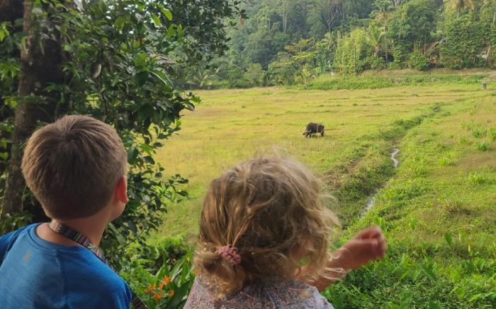 Villa Serenità By Sinharaja Rainforest 