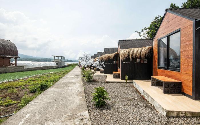Yucabin Kintamani - for Cool Adults Only Deals