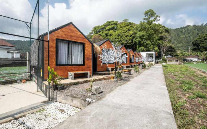 Yucabin Kintamani - for Cool Adults Only Deals