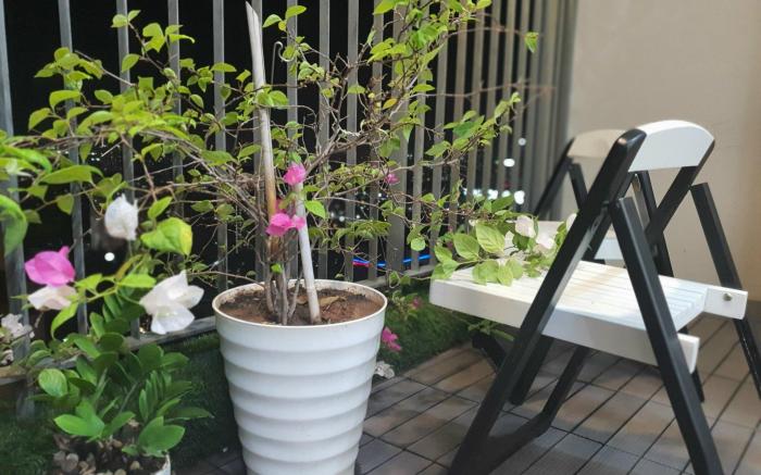 Studio Luxury Apt C2 D'Capitale #Jerry's House