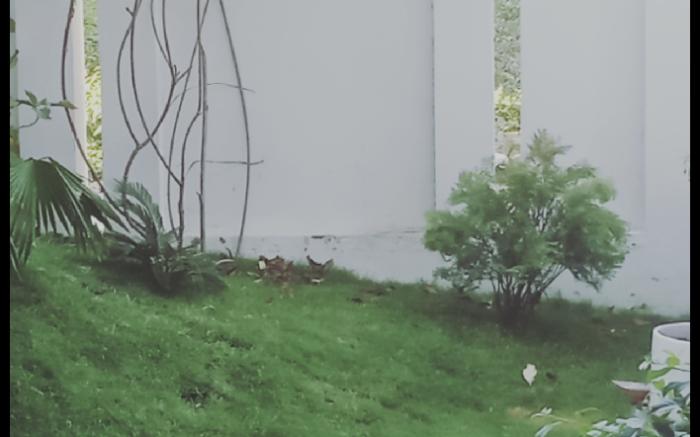 TRANG DOAN’S HOMESTAY 