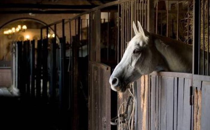 Gereby Kuria Hotel es Lovasudvar