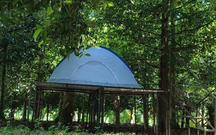 Dragster tents in Jadhika thottam