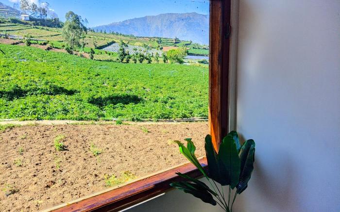 Senja Villa Dieng 4 Rooms with the View (SYARIAH)