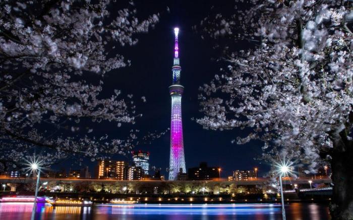 GrandTree Hotel_302 Skytree view rooftop/Asakusa