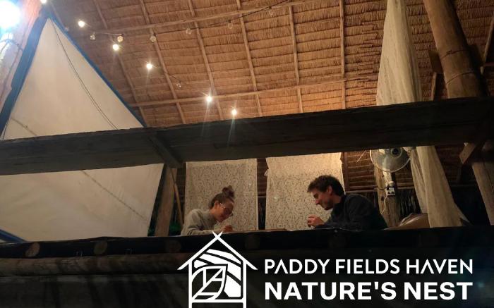 Paddy Fields Haven - Natures Nest