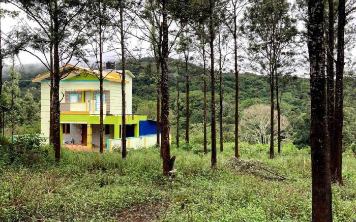 It’s pleasant vibe with nature oriented