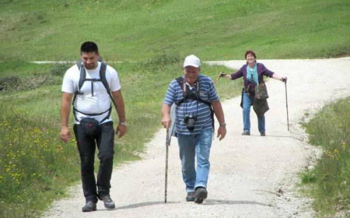 Gasthof Pension Alpenblick