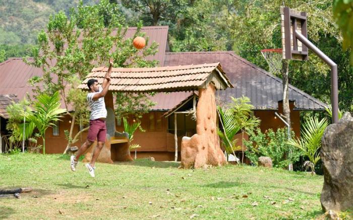 Beyond Eco Living