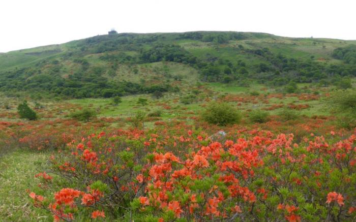 Kurumayama Kogen Guesthouse Urara