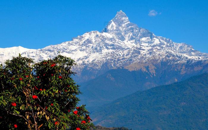 Himalayan Deurali Resort