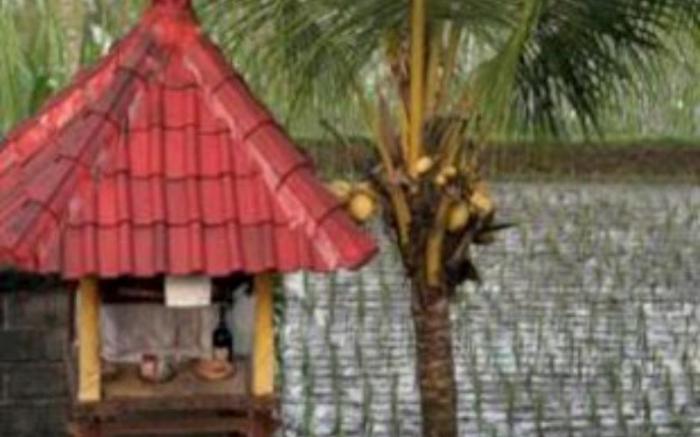 Three Dewi's Guest House