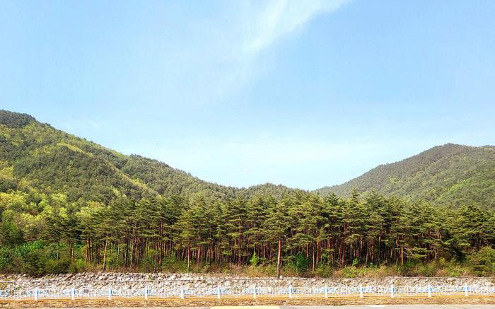 Pineview Hotel, Sokcho, Seoraksan