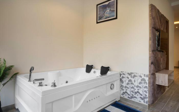 SPT Clarks Inn Suites, Mandi