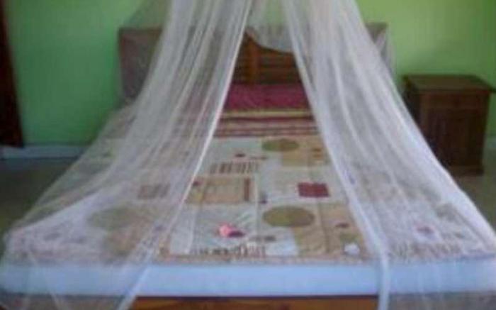 Gusti Homestay