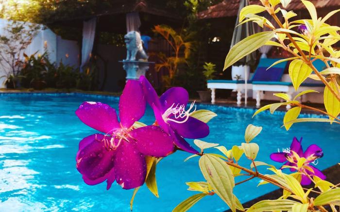 Marari Dreamz Bed and Breakfast