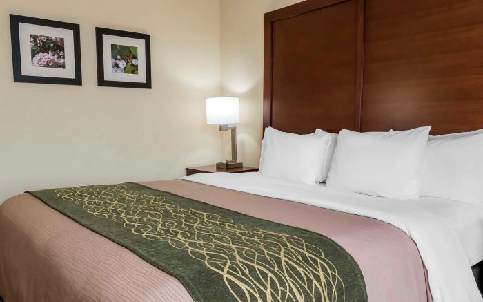 Comfort Inn - Pocono Mountains
