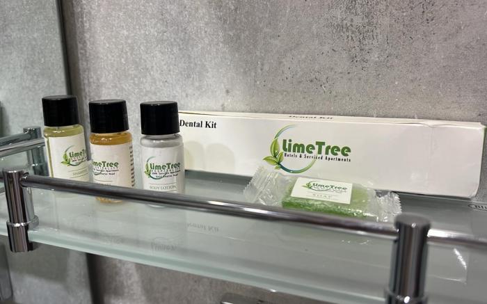 Lime Tree 3BHK Serviced Apartments DLF Phase -5 