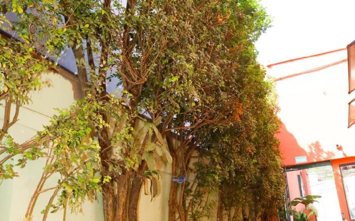GoodStay São Paulo Ibirapuera