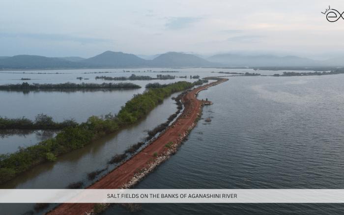 HostelExp, Gokarna - A Slow-Paced Backpackers Community