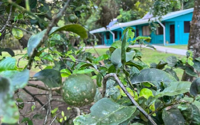 The Secret Eco Lodge 