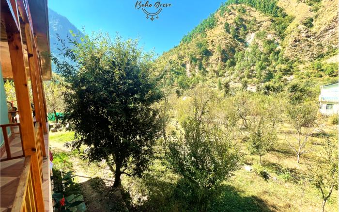 Boho Grove Cafe & Stay 