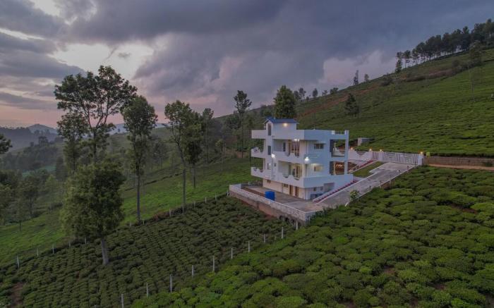 Akshu's Nest