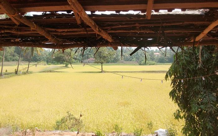 Shantika beach view stay 