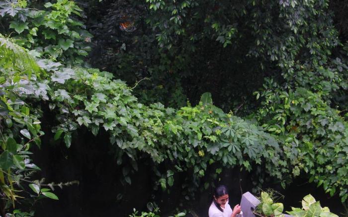 Sari Gong Guest House, A Trishula Collection