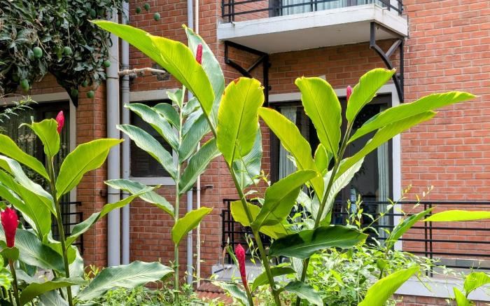 Transtree at Brookefield - Corporate Stays