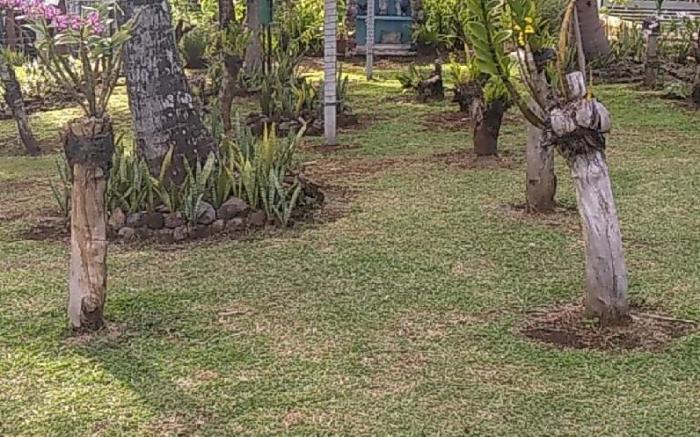 Taylors Plantacion Resort- Bungalow Villa