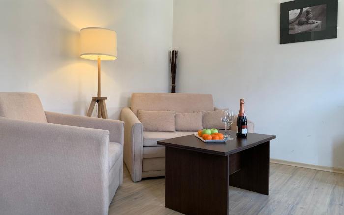 Banderitsa Apartment in Bansko with queen size bed and kitchen