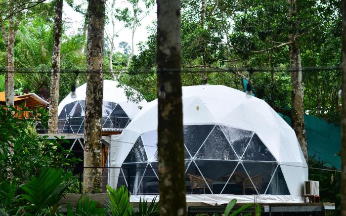 PALO ALTO GLAMPING HOTEL
