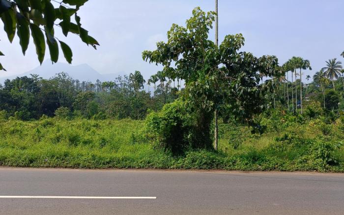 Simple Private Homestay Wayanad 