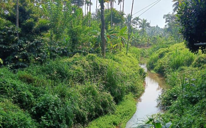 Simple Private Homestay Wayanad 