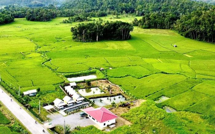 Jazz Ferme Inn Batuan Bohol