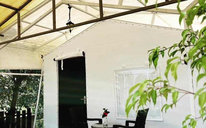 canvas resort