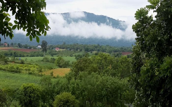 Mountain Pano Khao Yai Homestay